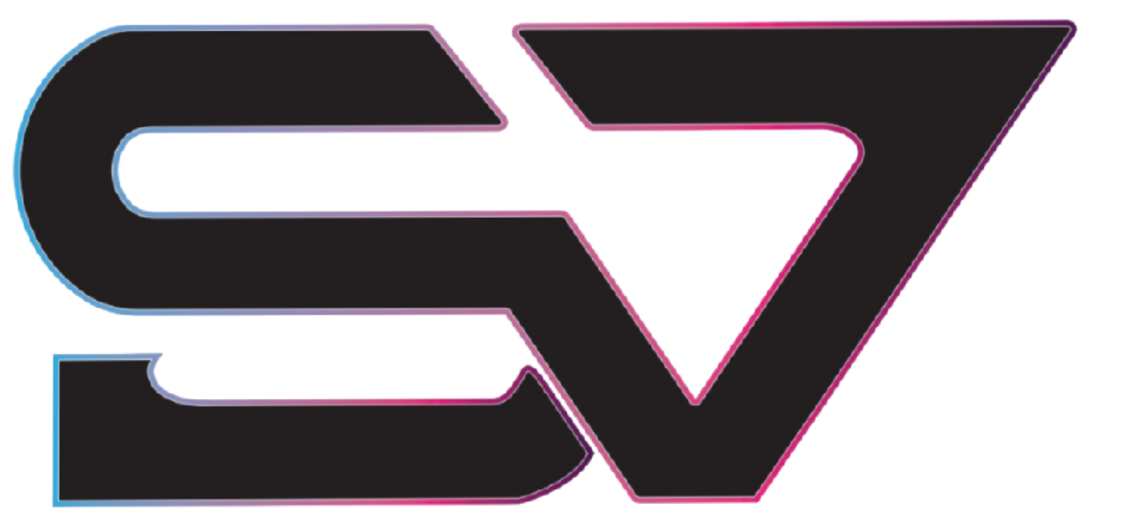 style vision